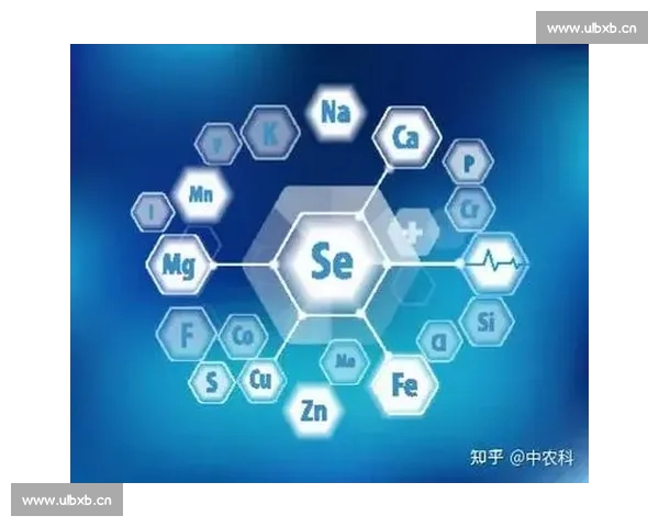 面向职业与大众的篮球赛事数据平台生态体系与价值创新路径探索 - 副本 (4) - 副本